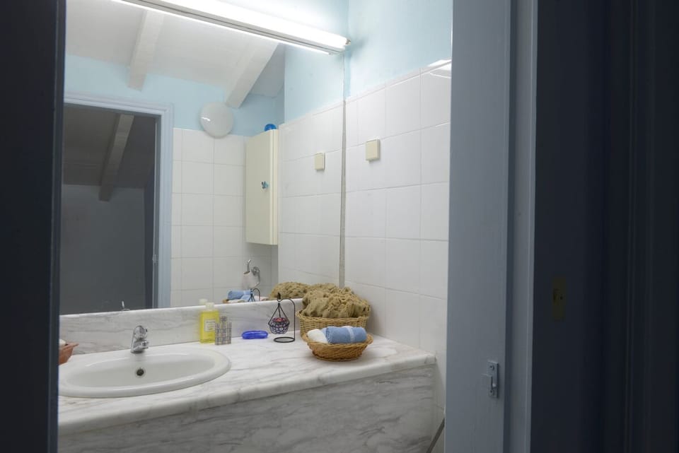 Villa Palmina | Bathroom | Shower, free toiletries, hair dryer, towels