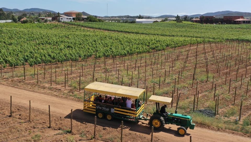 Winery