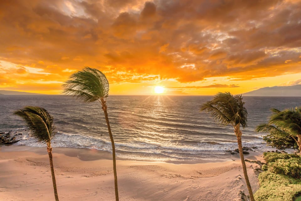 Polo Beach Club Vacation Rentals - APlus Resorts Apartment in Polo Beach