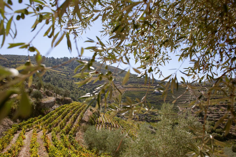 Land view from property