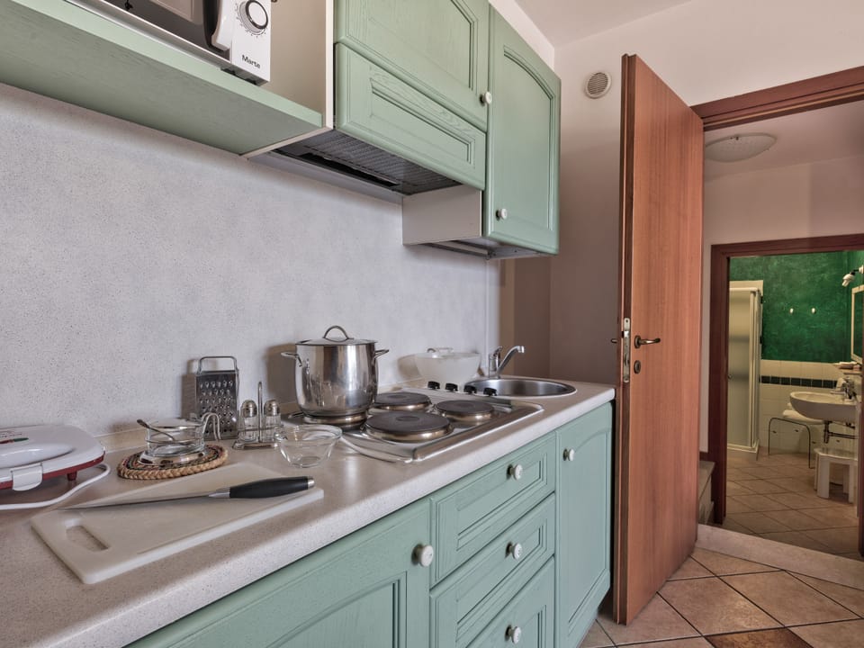 Fridge, microwave, stovetop, toaster