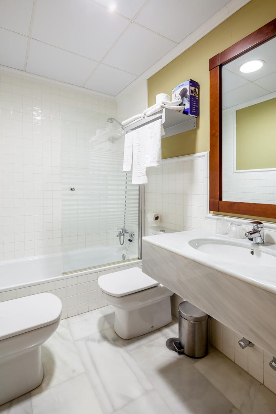 Shower, hair dryer, bidet, towels