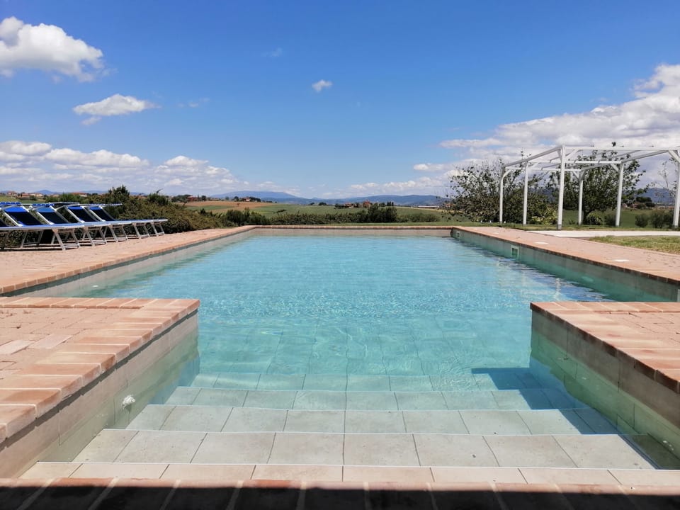 Outdoor pool, sun loungers