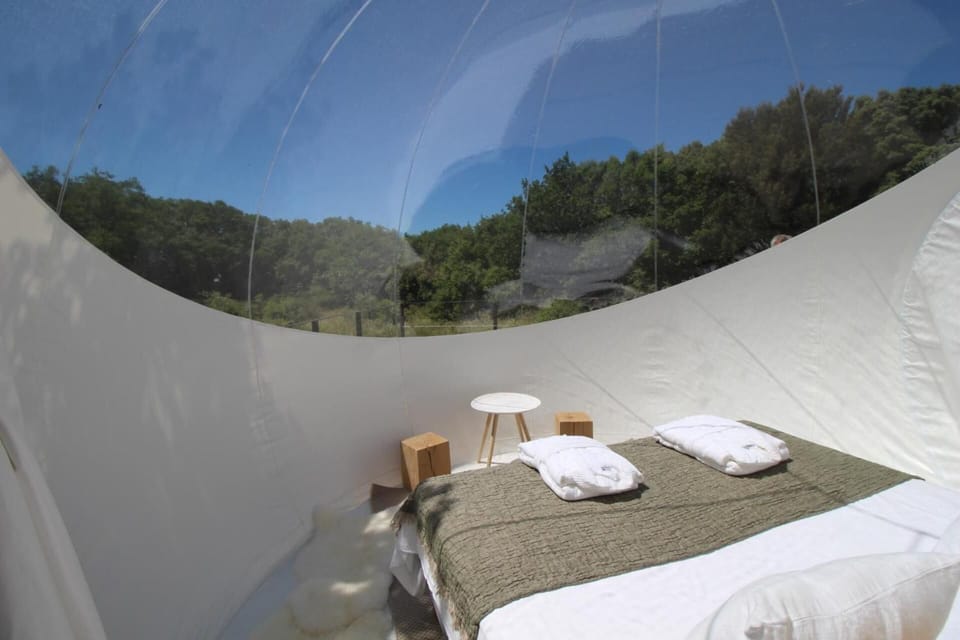 Blackout drapes, soundproofing, free cribs/infant beds, free WiFi