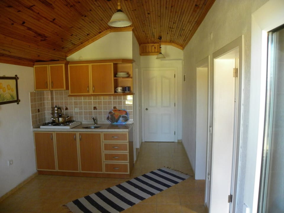 Family Apartment, 2 Bedrooms | Private kitchenette | Fridge, stovetop, coffee/tea maker, highchair