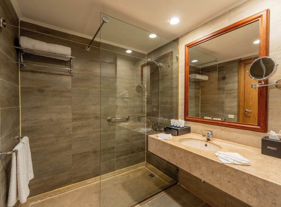 Shower, free toiletries, hair dryer, towels