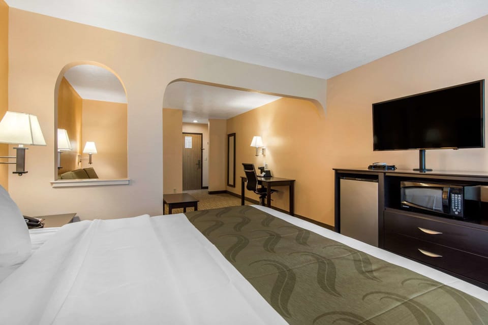 Room, 1 King Bed, Non Smoking | Premium bedding, desk, iron/ironing board, free WiFi