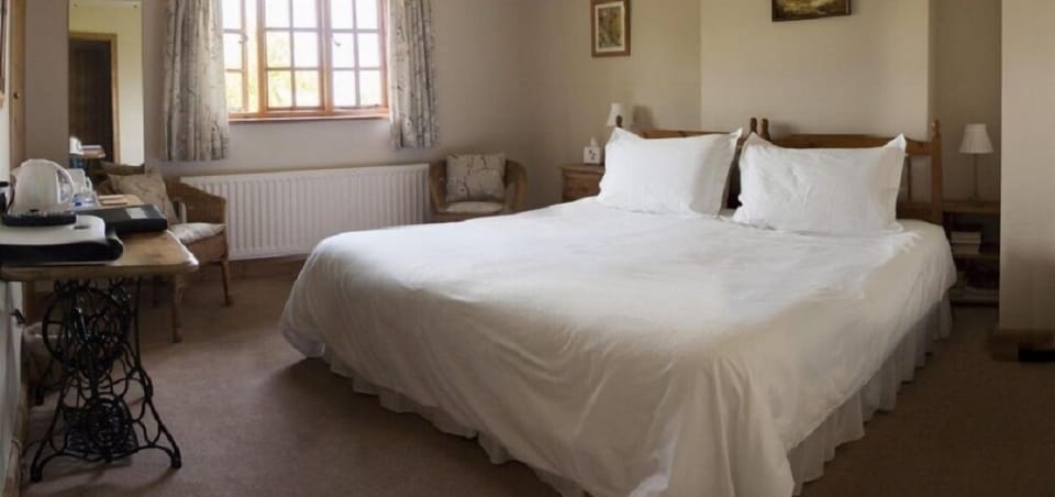 Double or Twin Room (King/Twin ) | Premium bedding, desk, iron/ironing board, free WiFi