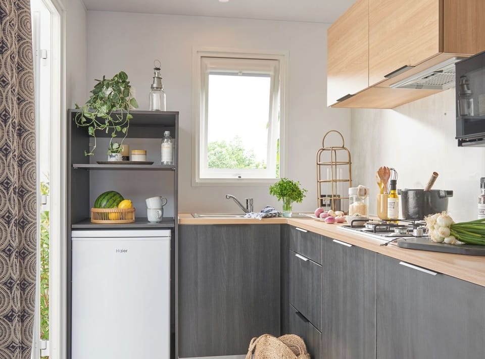 Fridge, microwave, stovetop, electric kettle