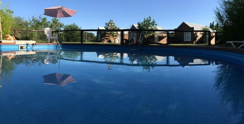 Seasonal outdoor pool, pool umbrellas, sun loungers