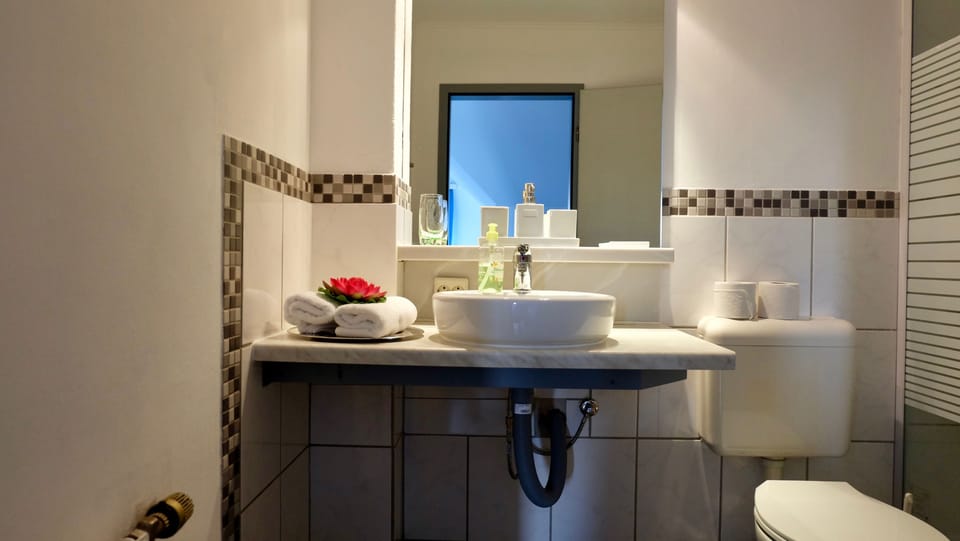 Deluxe Double Room, Balcony (Lake View) | Bathroom | Free toiletries, hair dryer, towels, shampoo