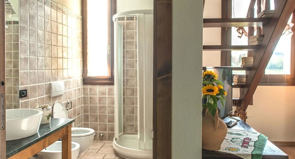 Shower, free toiletries, hair dryer, bidet