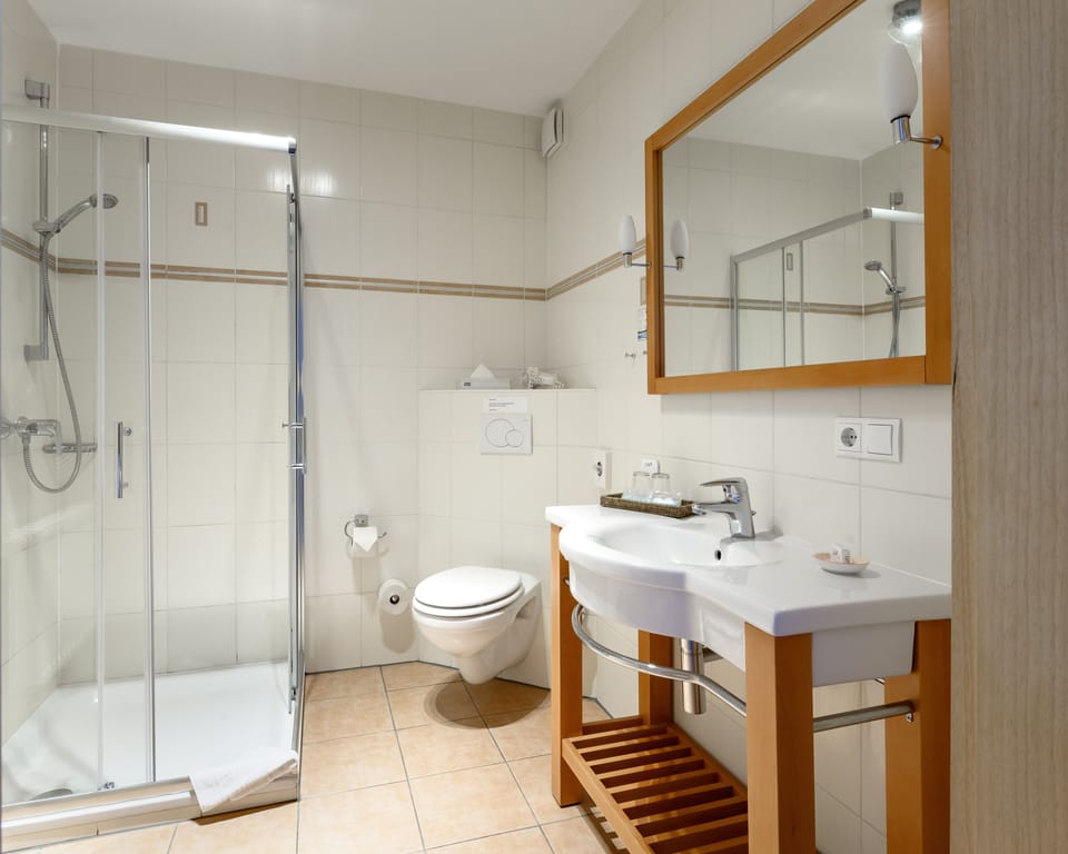 Shower, hair dryer, towels