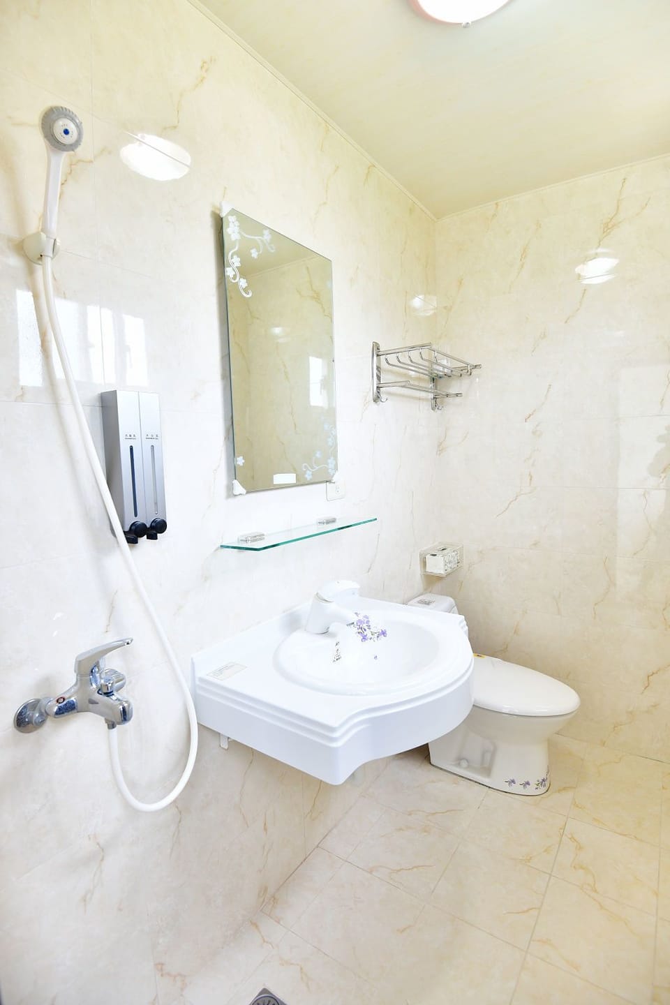 Shower, hydromassage showerhead, free toiletries, hair dryer