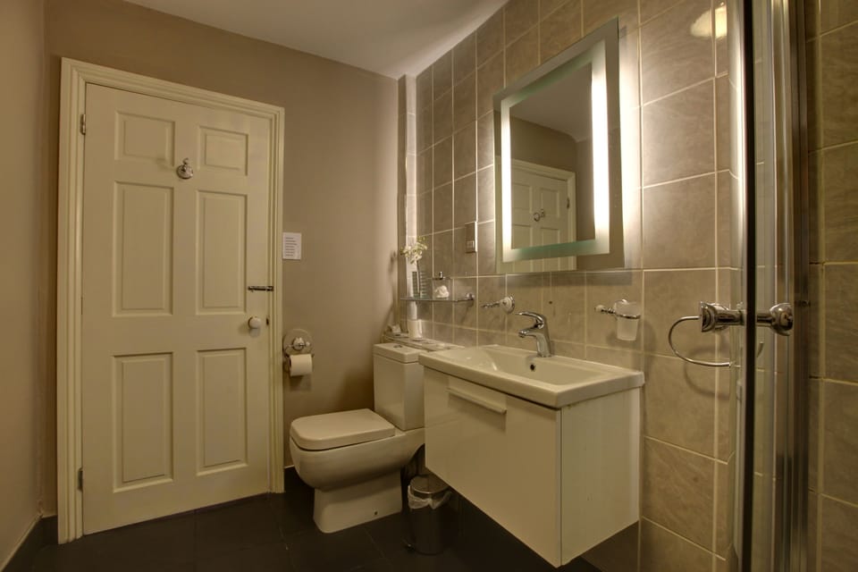 Premium Double Room, 1 King Bed, Ensuite, City View | Bathroom | Free toiletries, hair dryer, towels