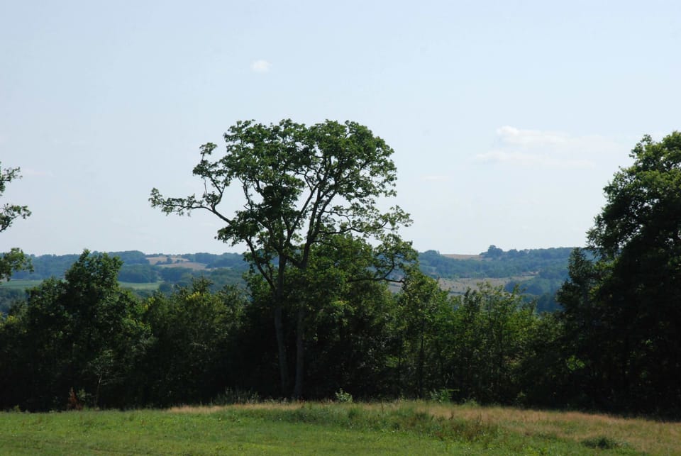Château de Maumusson Bed and Breakfast in Occitanie