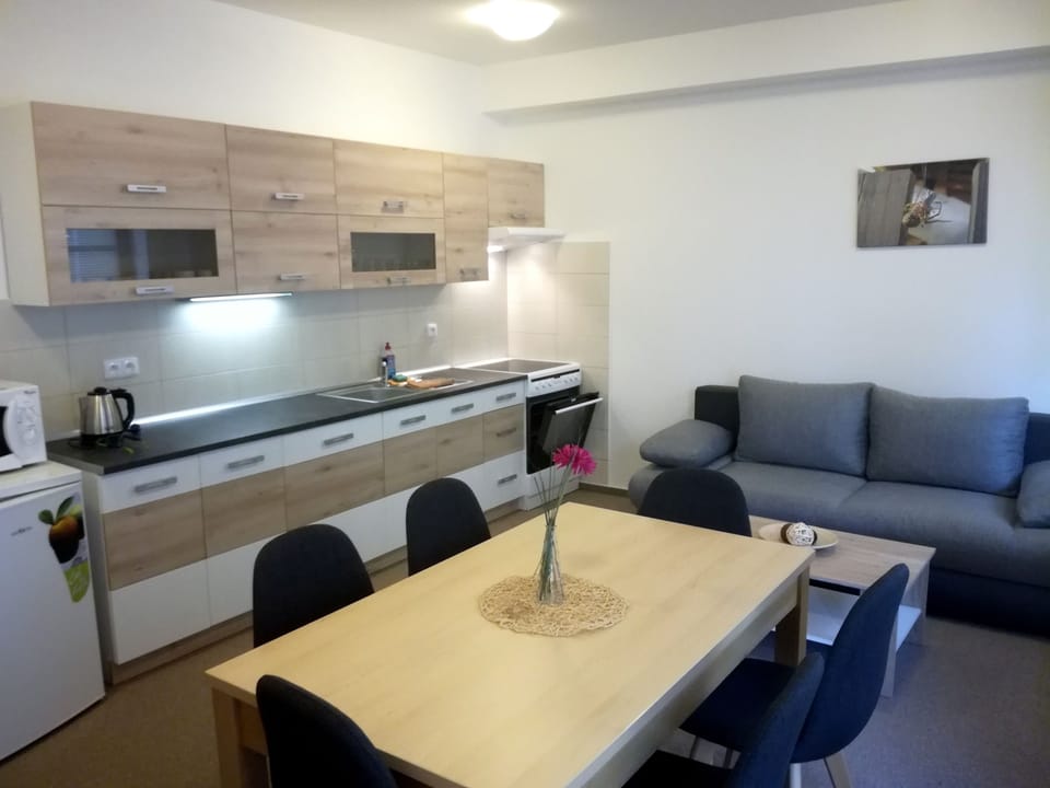 Superior Apartment, 1 Bedroom, Kitchen | Private kitchen | Fridge, microwave, stovetop, electric kettle
