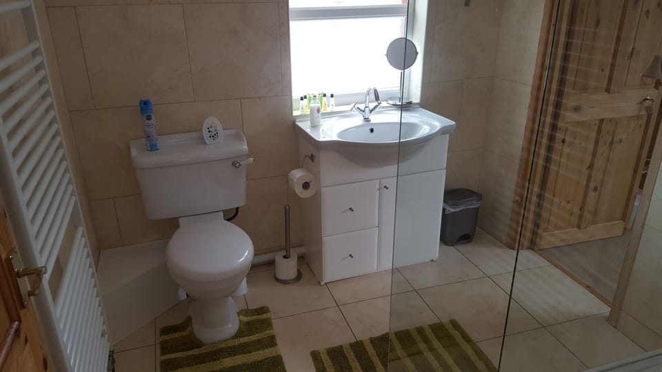 Double Room | Bathroom | Shower, free toiletries, hair dryer, towels