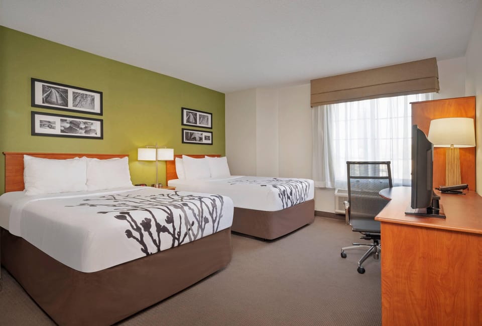 Standard Double Room, 2 Double Beds, Non Smoking | Desk, iron/ironing board, cribs (free), WiFi (free)
