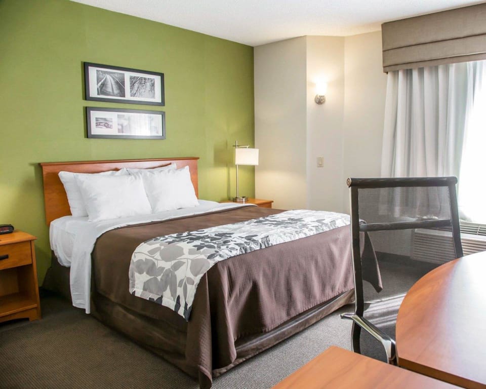 Standard Room, 1 Queen Bed, Non Smoking | Desk, iron/ironing board, free cribs/infant beds, free WiFi