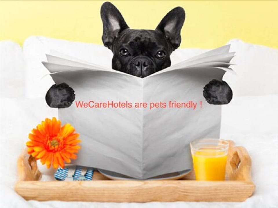Pet-friendly