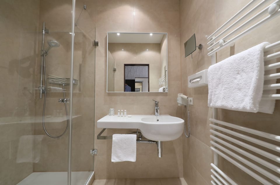 Grand Single Room | Bathroom | Shower, free toiletries, hair dryer, towels