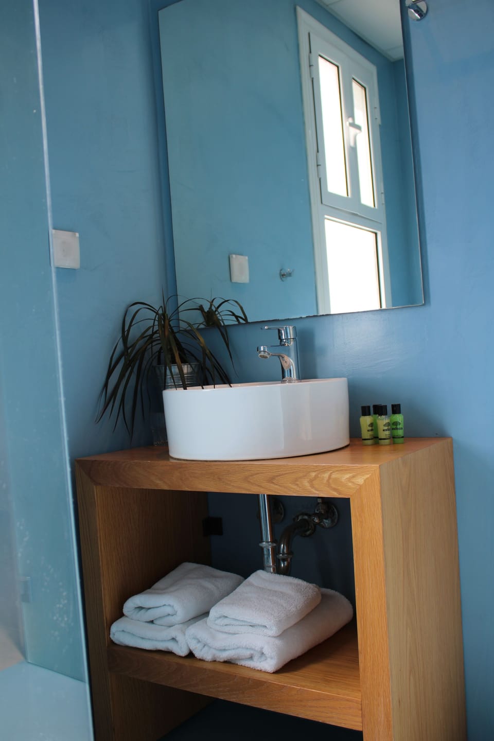 Single Room, Mountain View | Bathroom | Free toiletries, hair dryer, towels