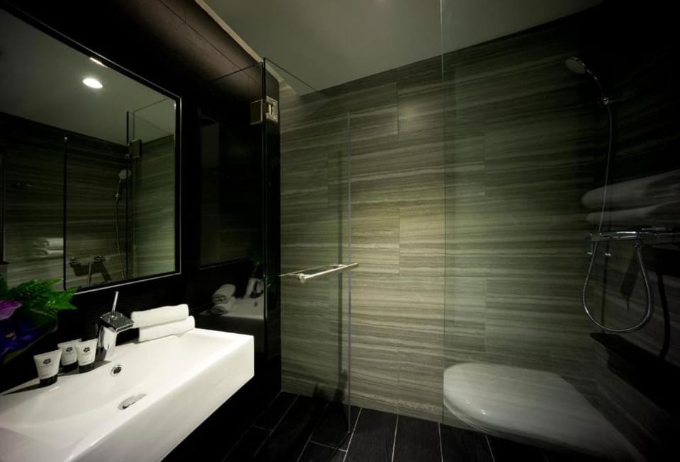 Shower, hair dryer, towels, shampoo