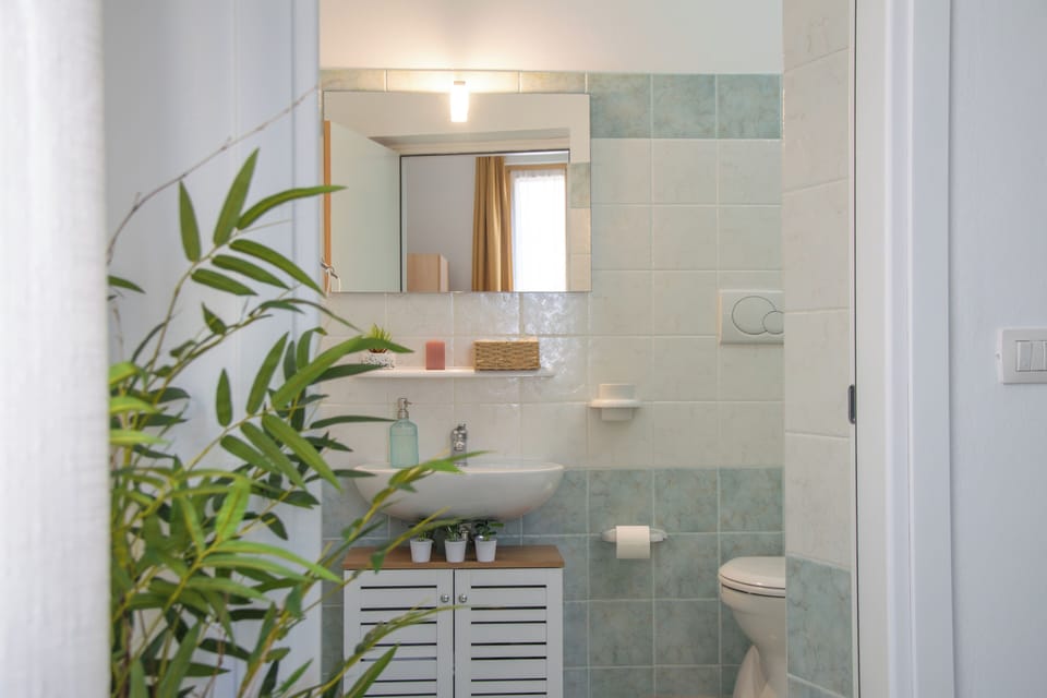 Shower, free toiletries, hair dryer, bidet