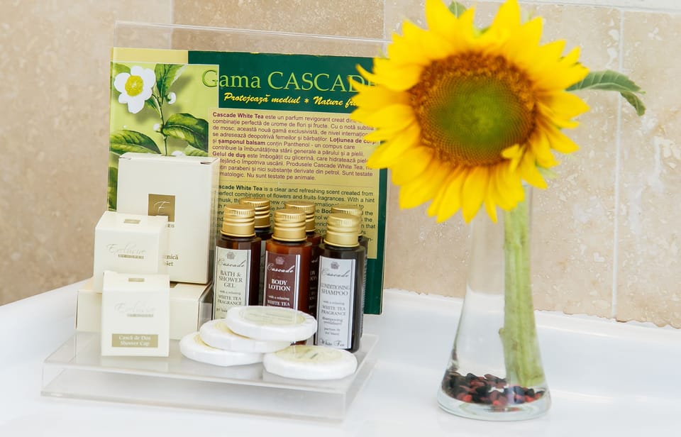 Executive Double Room | Bathroom amenities | Combined shower/tub, deep soaking tub, free toiletries, hair dryer