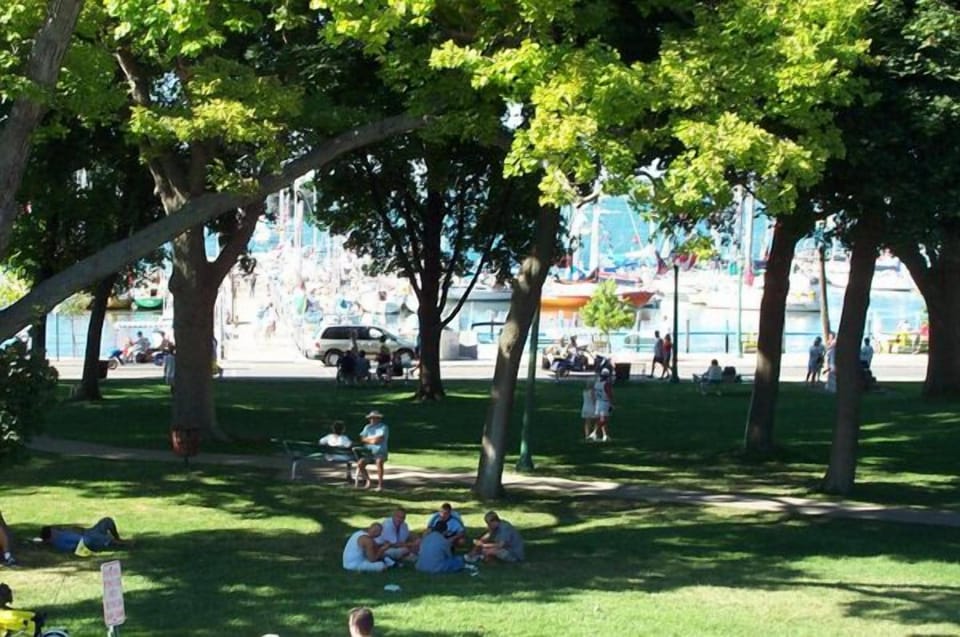 BBQ/picnic area