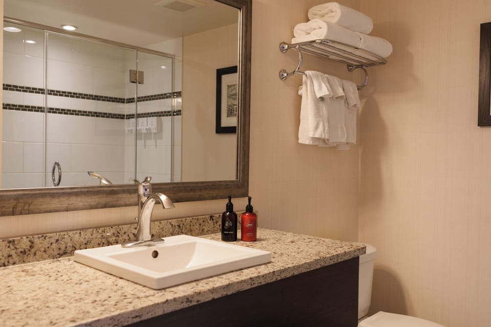 Deluxe Room | Bathroom | Eco-friendly toiletries, hair dryer, towels