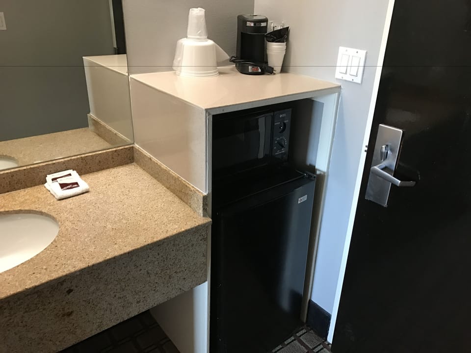 Mini-refrigerator