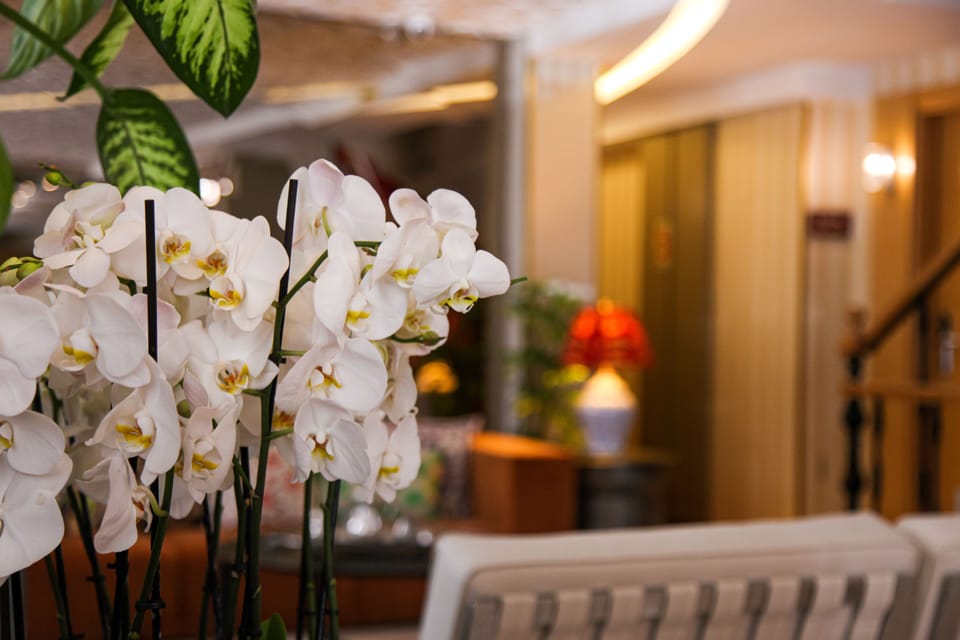 Almina Hotel - Special Class Hotel in Istanbul