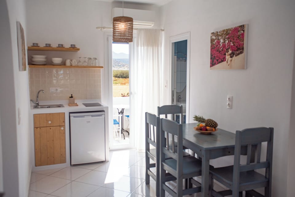 Apartment, 2 Bedrooms, Pool View | Private kitchen | Fridge, stovetop, coffee/tea maker, electric kettle
