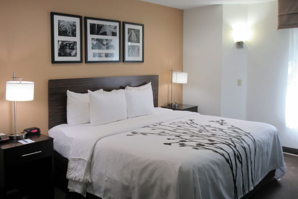 Premium bedding, down comforters, pillowtop beds, in-room safe