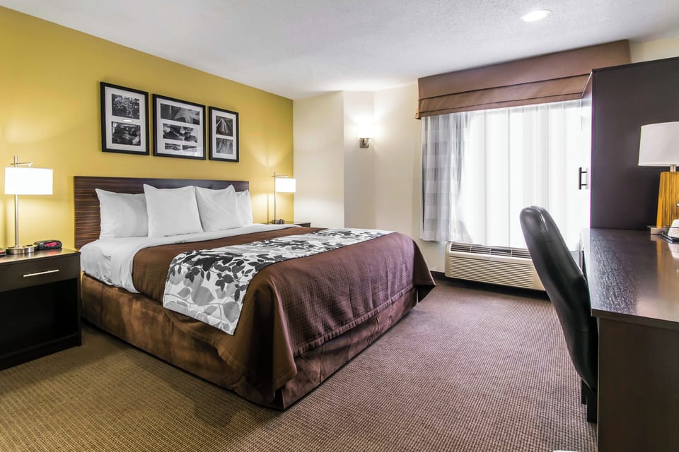 Standard Room, 1 King Bed, Non Smoking | Premium bedding, down comforters, pillowtop beds, in-room safe