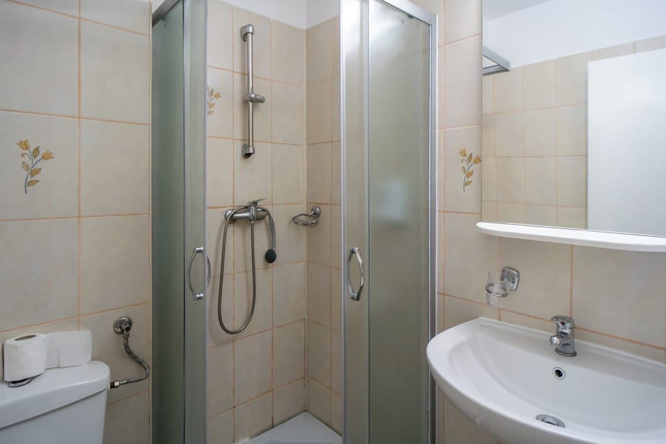 Double Room | Bathroom | Shower, hair dryer, towels