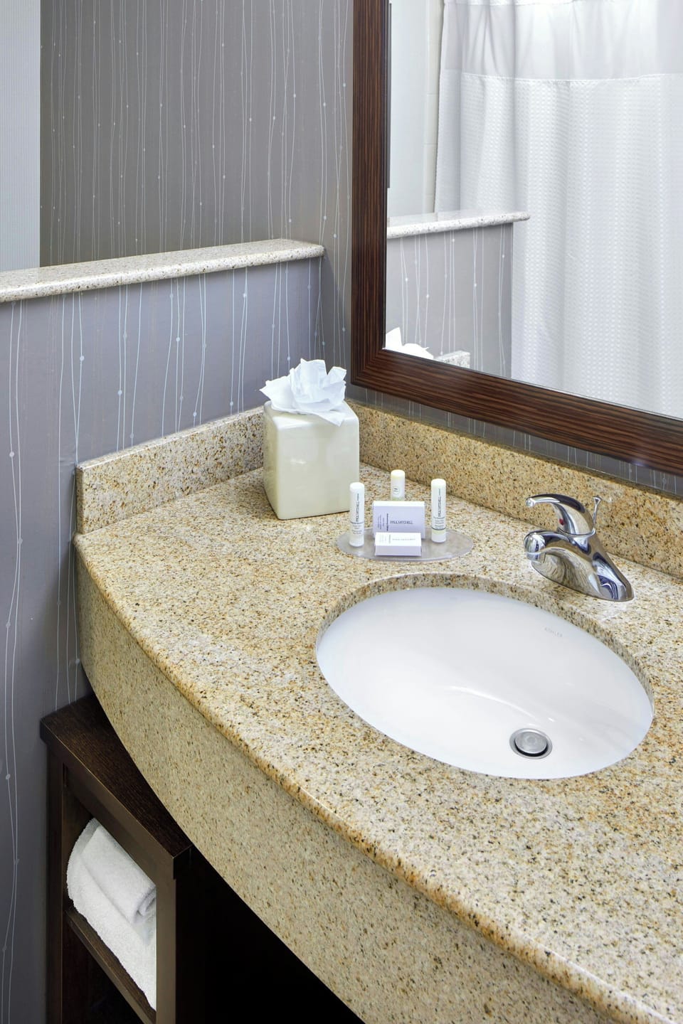 Combined shower/tub, free toiletries, hair dryer, towels