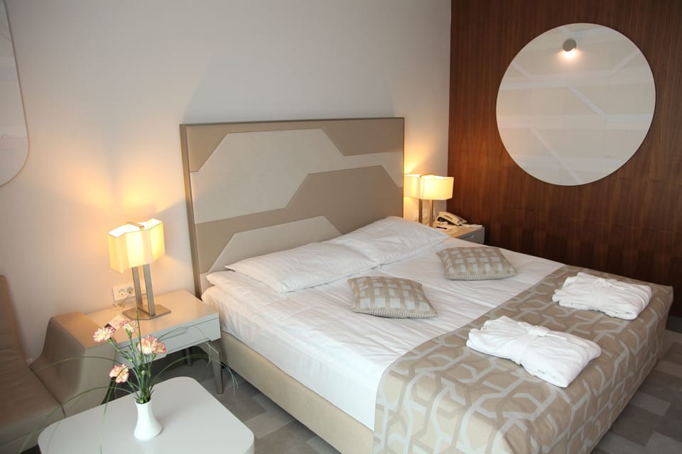 Hotel Terme Hotel in Slovenia
