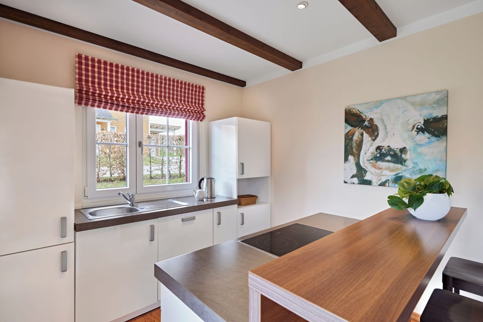 Full-size fridge, oven, stovetop, dishwasher