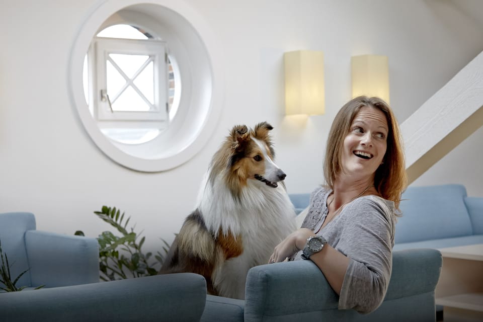 Pet-friendly