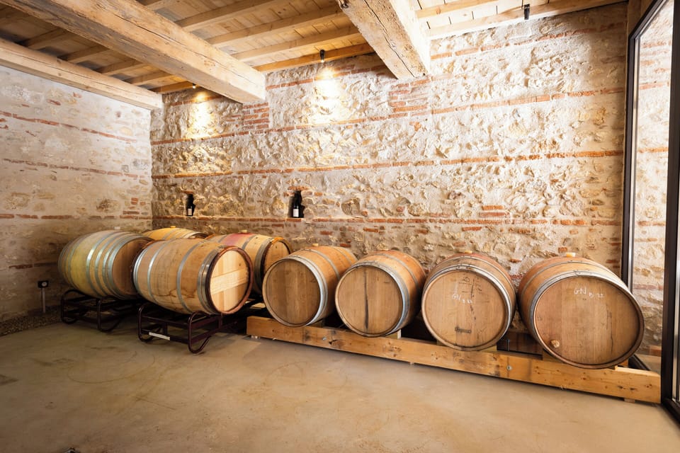 Vineyard