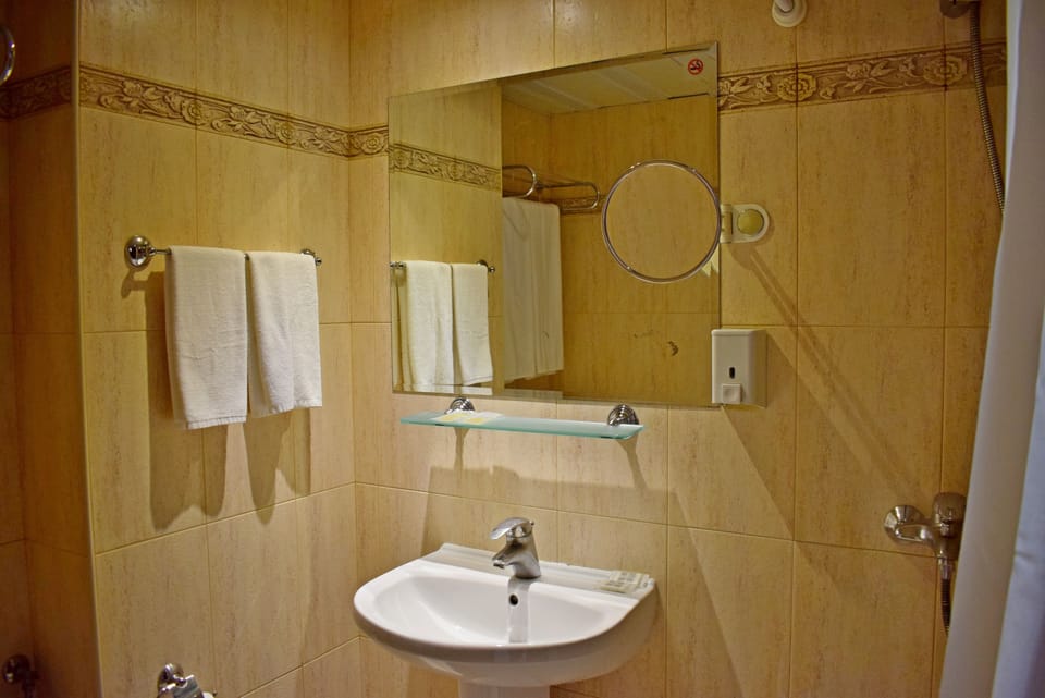 Superior Double Room | Bathroom | Free toiletries, towels