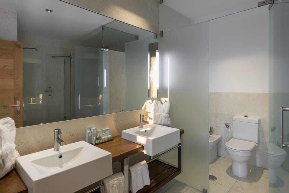 Eco-friendly toiletries, hair dryer, bidet, towels