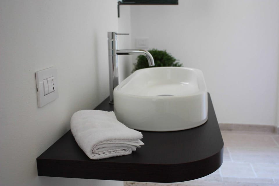 Shower, hair dryer, bathrobes, bidet