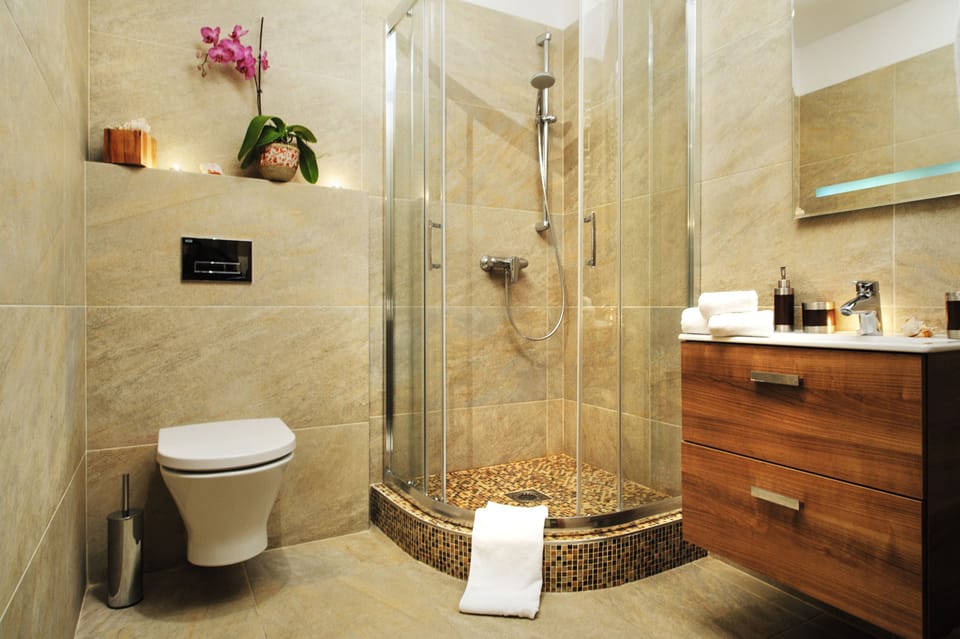 Deluxe Apartment | Bathroom | Shower, hair dryer, slippers, towels