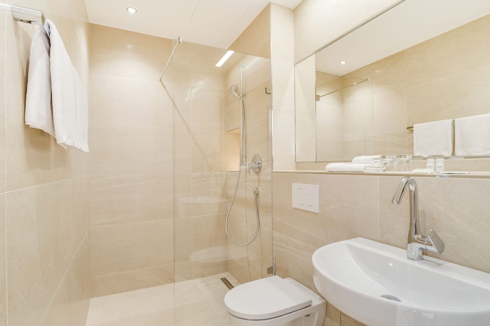 Shower, free toiletries, hair dryer, towels