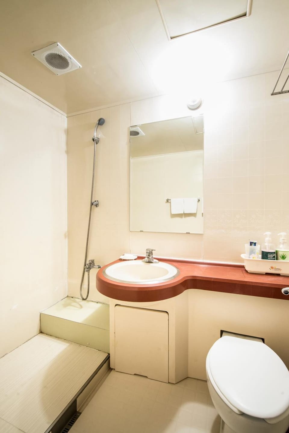 Shower, free toiletries, slippers, towels