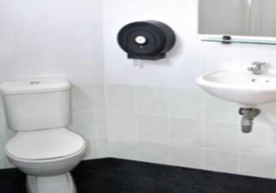 Shower, free toiletries, hair dryer (on request), slippers